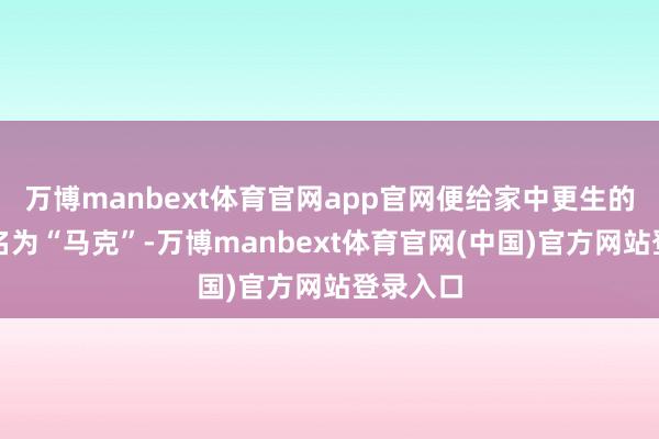 万博manbext体育官网app官网便给家中更生的侄子取名为“马克”-万博manbext体育官网(中国)官方网站登录入口