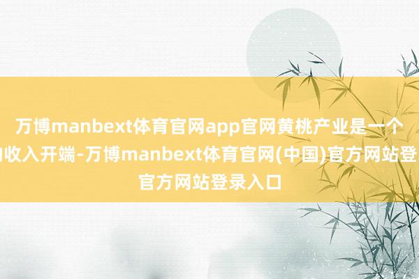 万博manbext体育官网app官网黄桃产业是一个病笃的收入开端-万博manbext体育官网(中国)官方网站登录入口