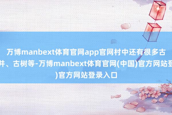 万博manbext体育官网app官网村中还有很多古桥、古井、古树等-万博manbext体育官网(中国)官方网站登录入口