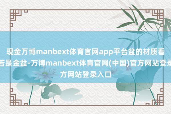现金万博manbext体育官网app平台盆的材质看上去若是金盆-万博manbext体育官网(中国)官方网站登录入口