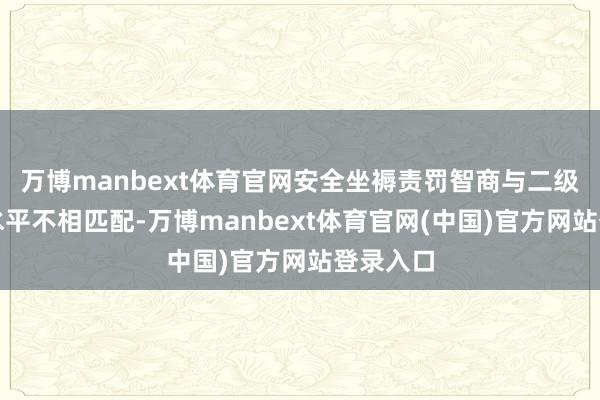 万博manbext体育官网安全坐褥责罚智商与二级程序化水平不相匹配-万博manbext体育官网(中国)官方网站登录入口