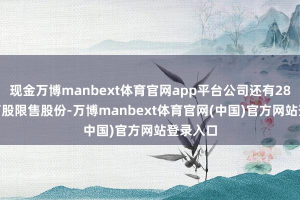 现金万博manbext体育官网app平台公司还有2828.89万股限售股份-万博manbext体育官网(中国)官方网站登录入口